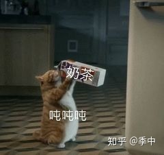 当代大学生的智商，全都用来取沙雕群名了...