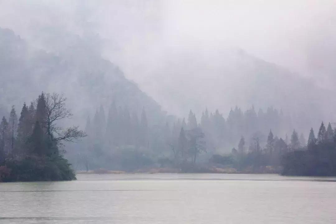 399元无边泳池,无边泳池抖音优惠团购