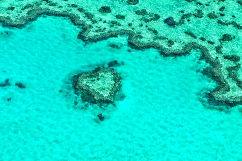 春节返季旅行地大推荐,圣诞元旦旅游出行攻略