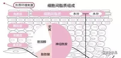 十大良心国货产品郁美净,郁美净是不是国货之光