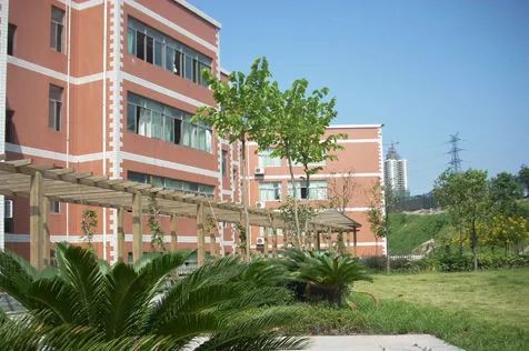 重庆教育最好的板块,重庆教育资源最好的区域北区