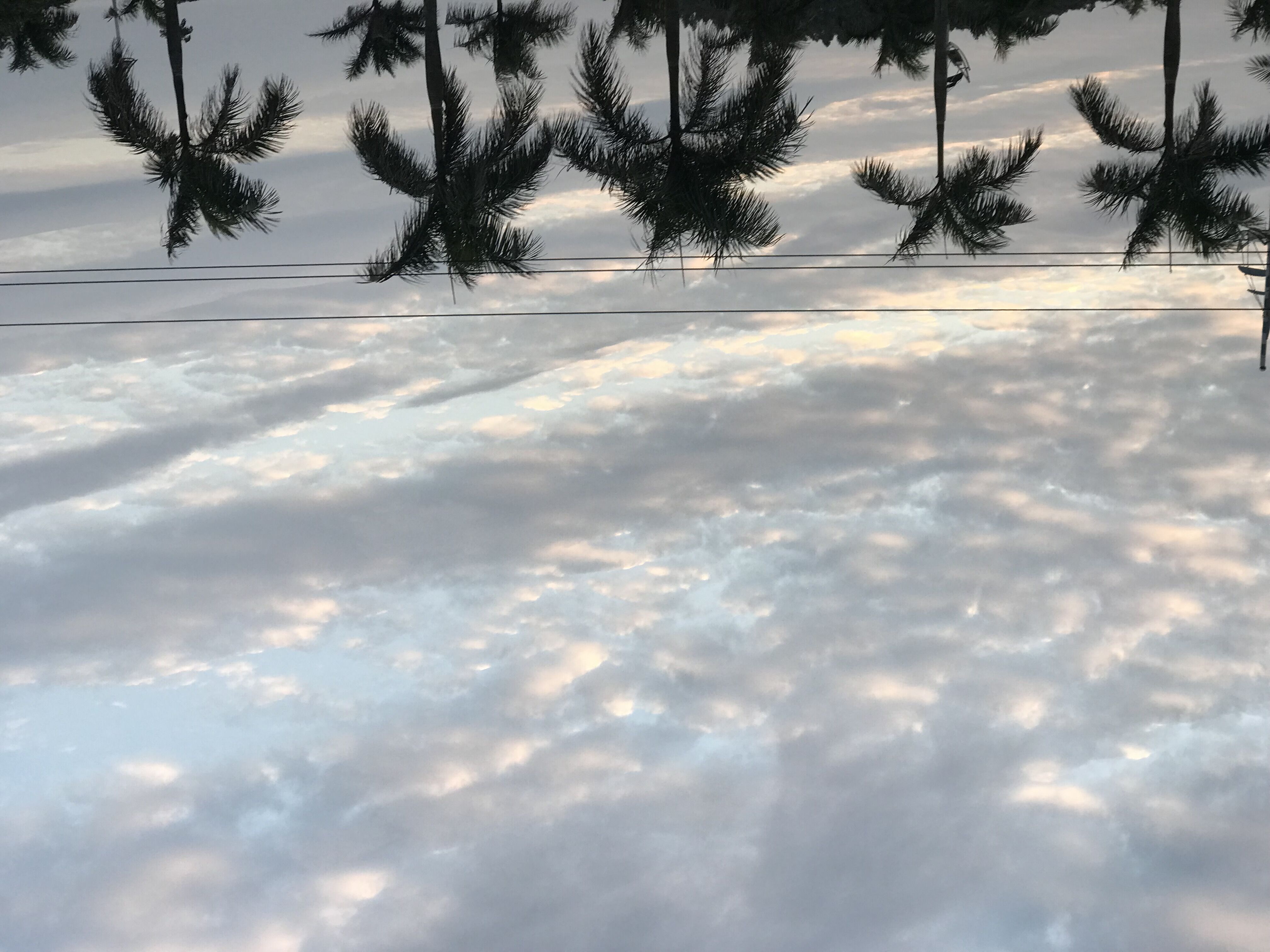 又见东兴,故地重游口岸都关闭了,不同时间不同伙伴不同心情