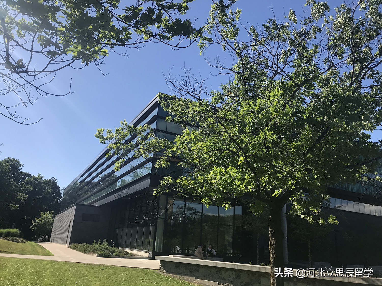 加拿大留学一年大概要多少钱,加拿大留学十大值得申请专业