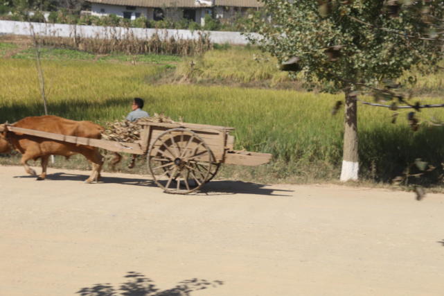 朝鲜看韩国视角,朝鲜观察
