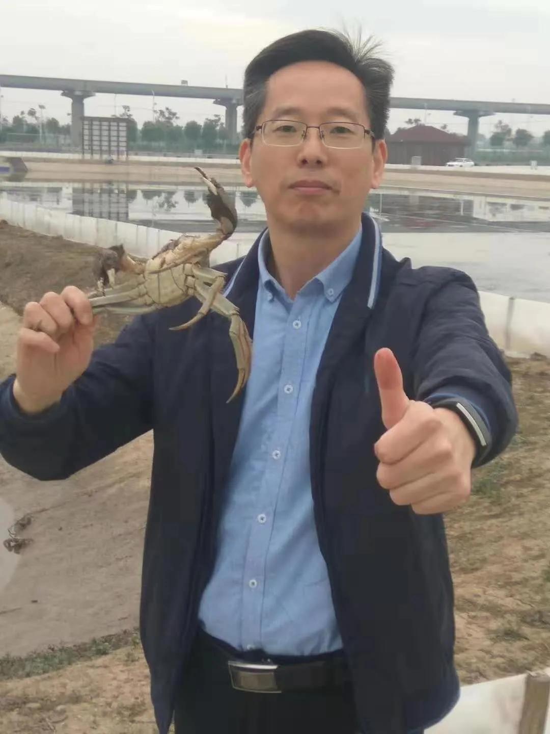 长江大闸蟹怎样,长江大闸蟹