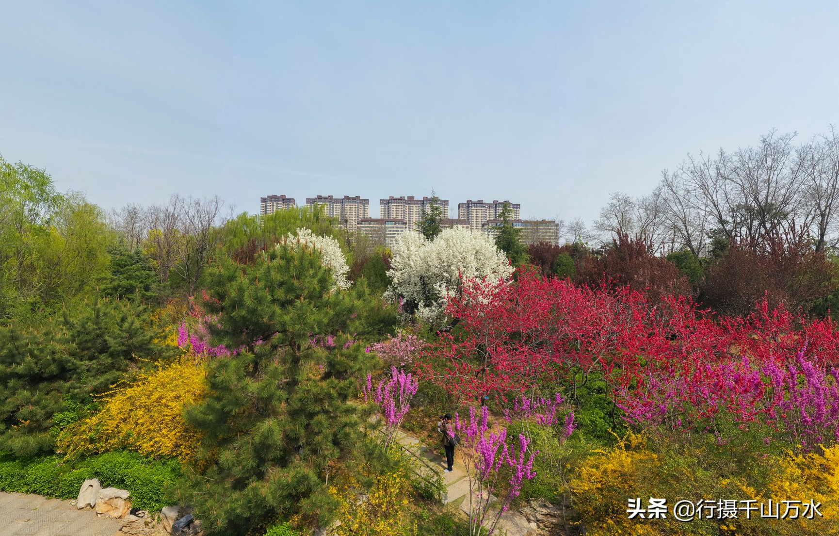 济南森林公园色彩斑斓秋意渐浓,济南今年的森林公园风景如画