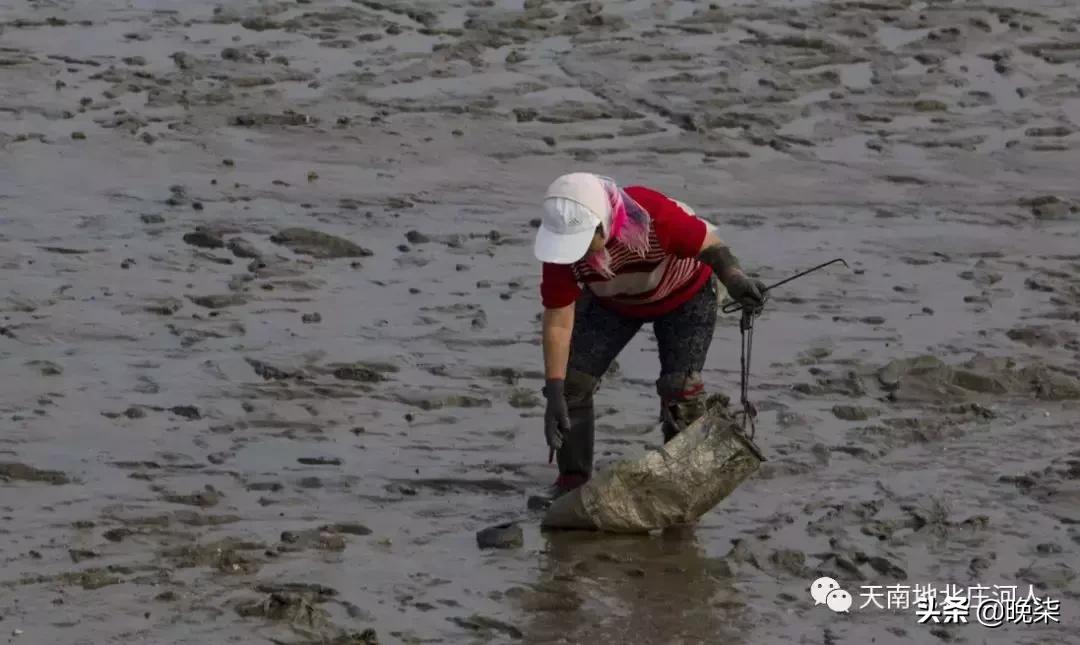 大连庄河赶海排名第一名,庄河赶海网红视频