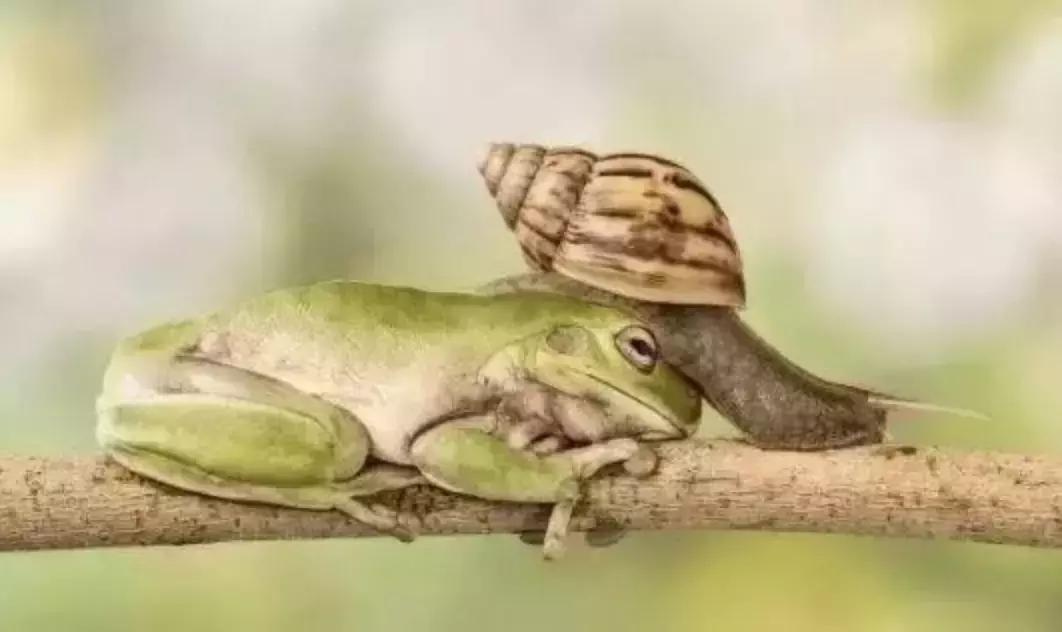 被囚34年取精，被迫亲手杀死爱子，最后只能挣扎着死去……