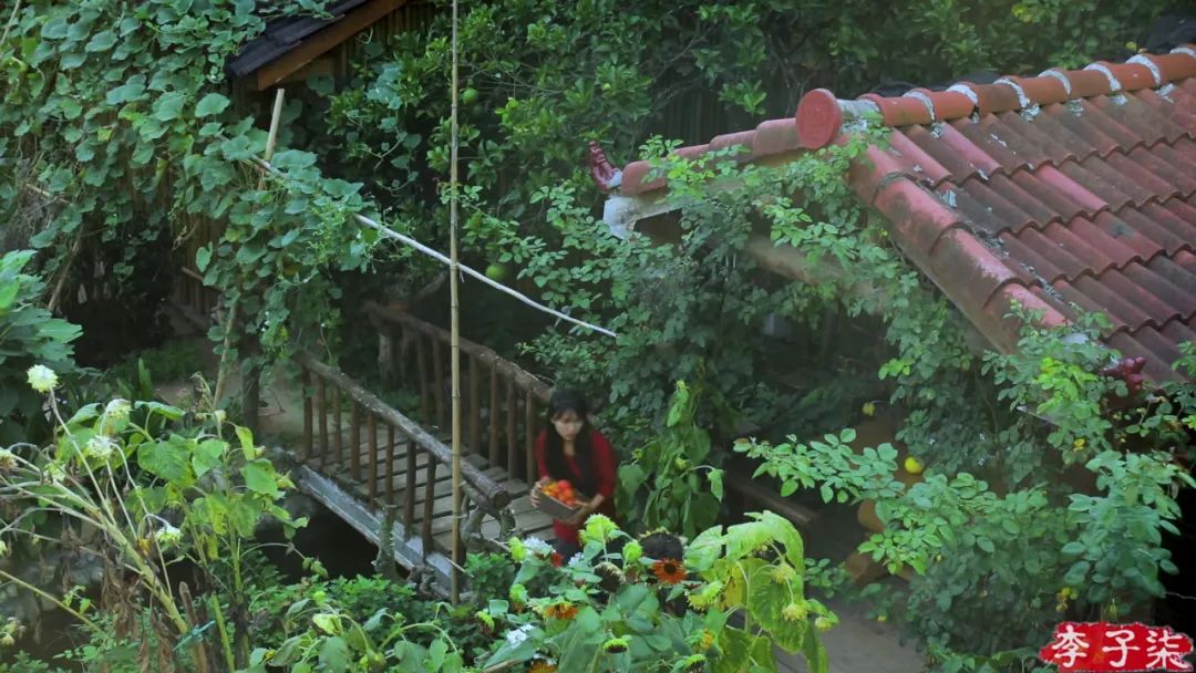 看了李子柒的视频的感受,看完李子柒后的感受