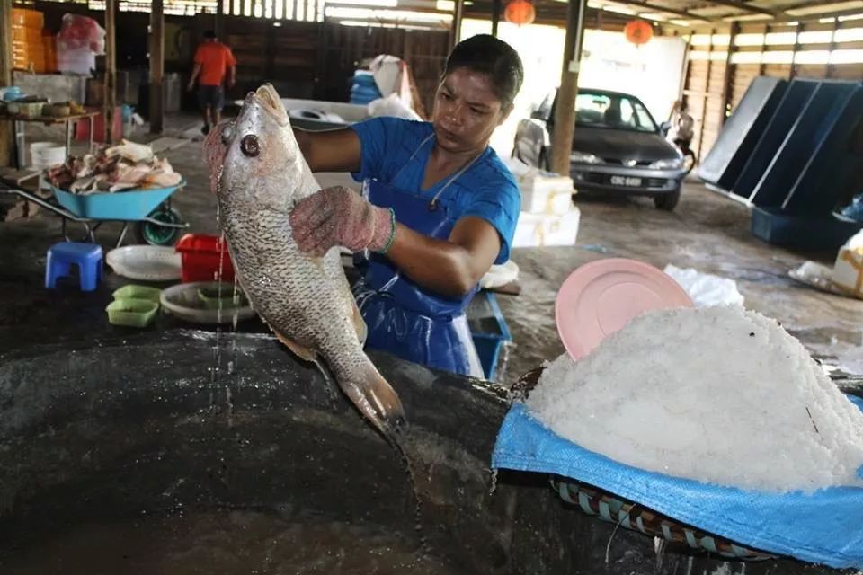 咸鱼翻身是命运吗,咸鱼翻身是什么