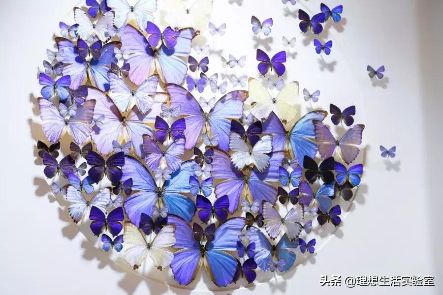 龙湖成都金楠天街,成都龙湖金楠天街哪一期最好