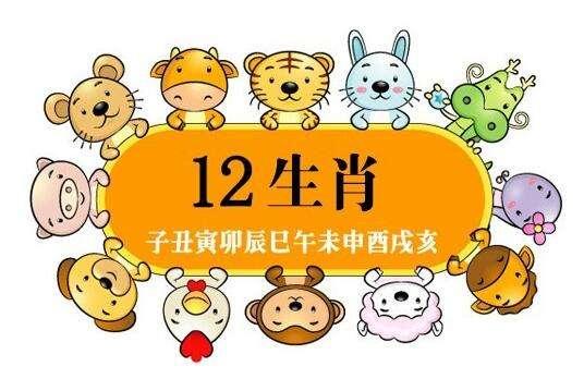 生肖对冲的年份可以生小孩吗,生肖鼠适合生育的年份