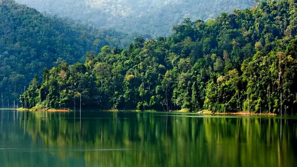 头骨最值钱鸟,头骨很珍贵的鸟