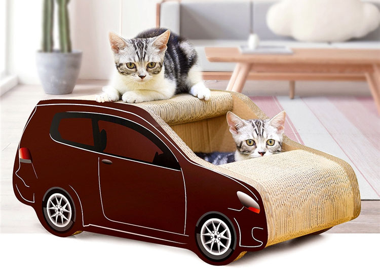 盘点喵星人爱不释手的玩具,喵星人必备玩具