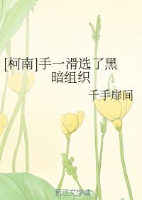 柯南沙雕U盘穿越明朝天子电竞江湖|小莫网文推书NO.007