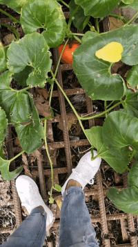 搞笑GIF开心一刻:这才是真正的踢足球,不赢都没道理