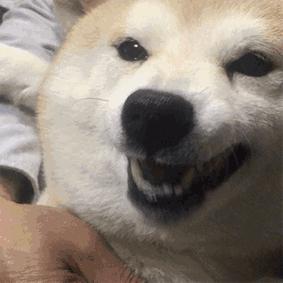 你必须知道的三个宇宙法则,你必须知道的基本法则