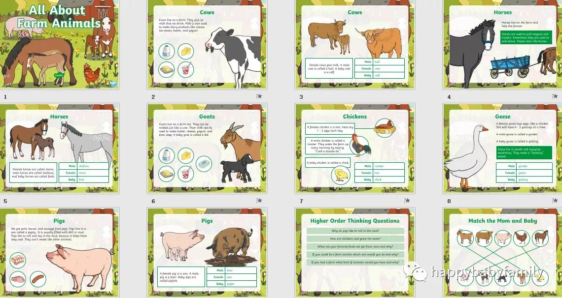 卡通小动物ppt免费,幼儿园卡通动物ppt免费图片