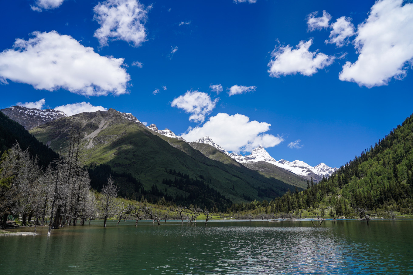 距离成都最近的户外天堂，这里比瑞士、阿尔卑斯还美