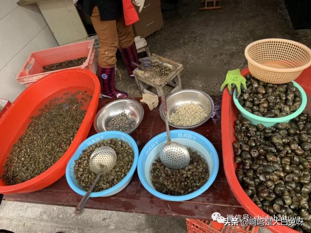 在苏州吃遍全国各地的美食,苏州哪些街可以逛