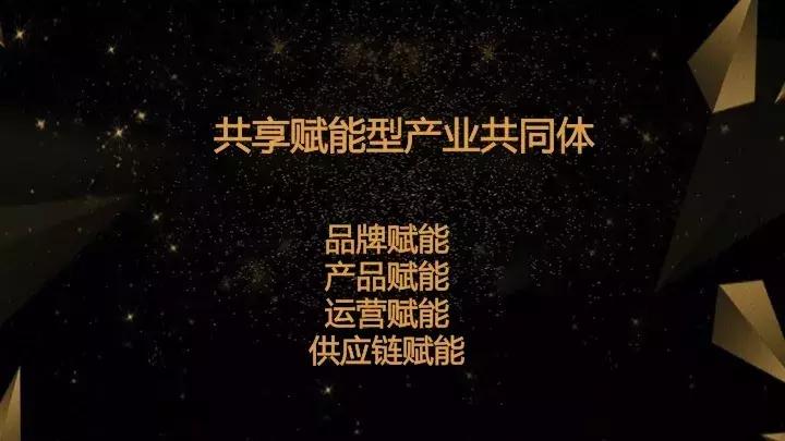 龙润集团年会,龙润集团投资一万亿