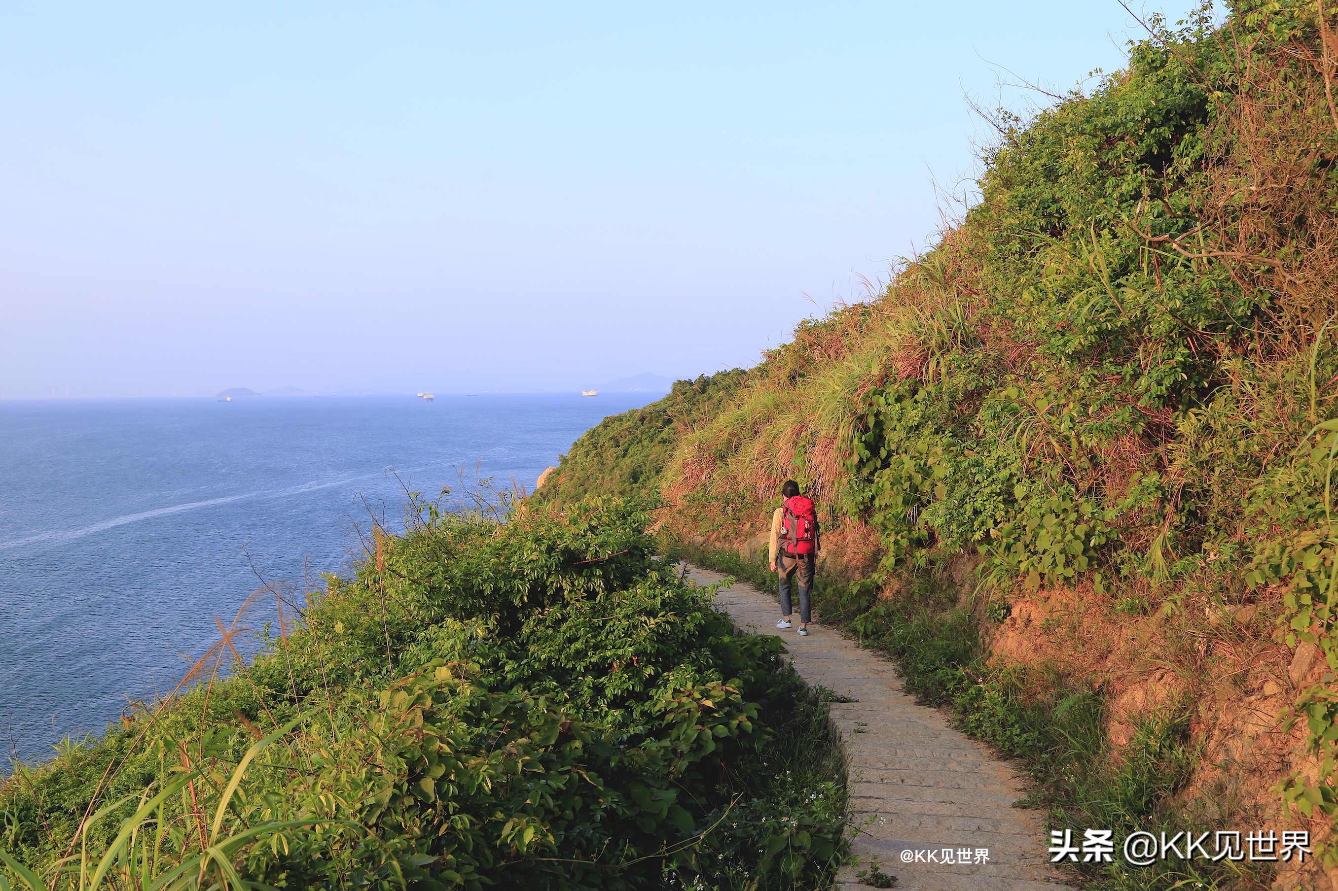 东澳岛森野露营地,珠海横琴岛露营攻略