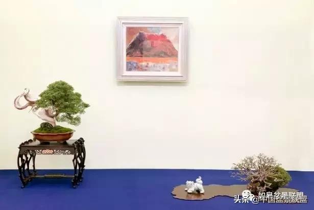 日本盆景巨匠木村正彦作品全程 (木村正彦盆景作品)