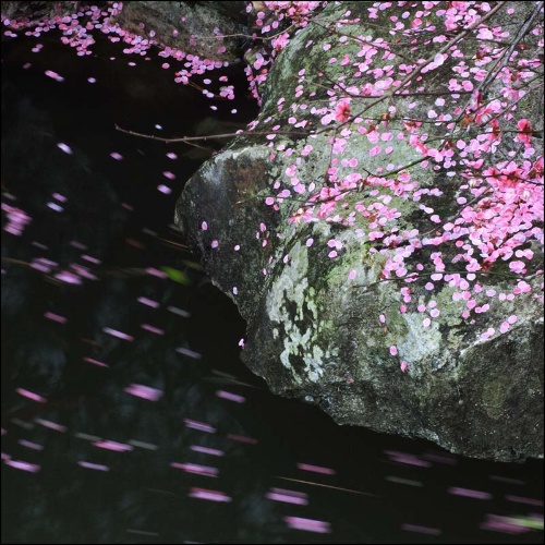 古人七言对联描写春天,诗词对联写春天