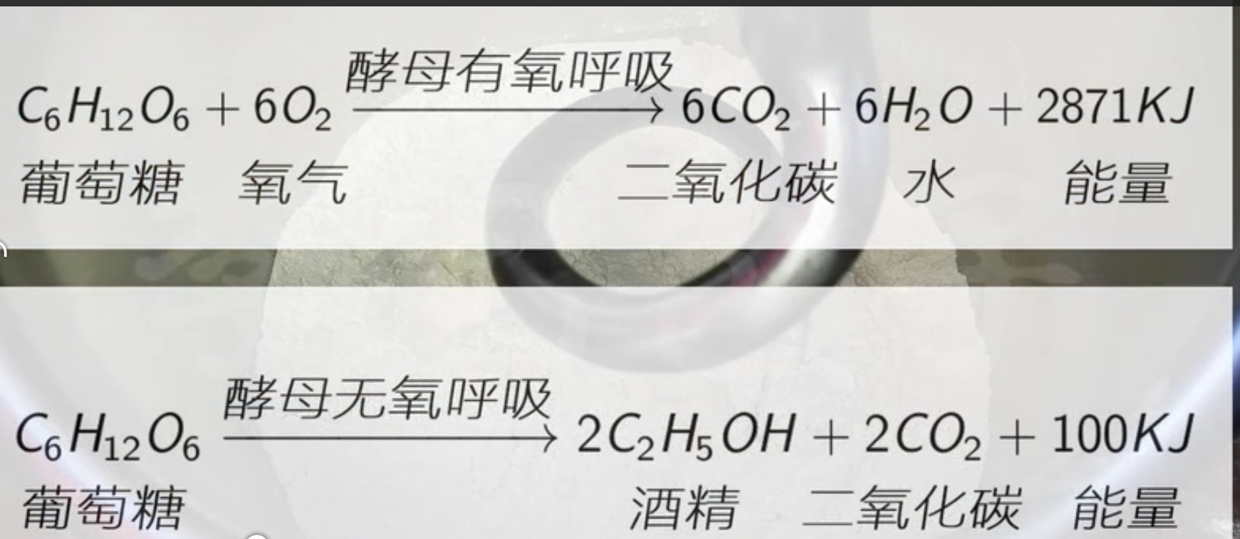 发面加了油揉不光滑,发面的时候放了碱发不起来