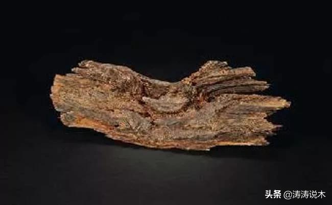 沉香木是什么树形成的长什么样,沉香木是怎么产生的