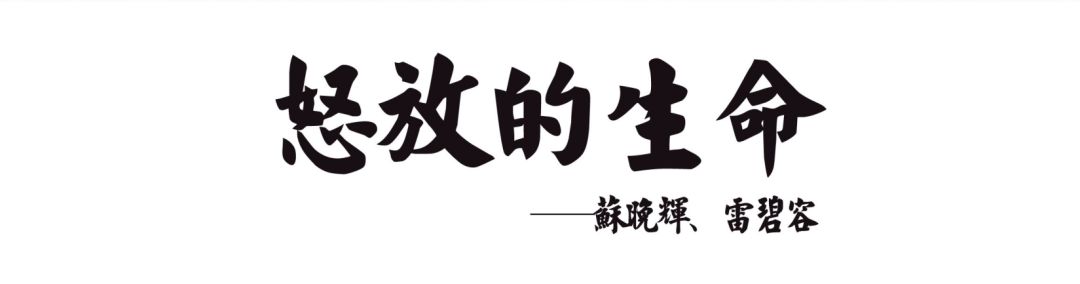 鱼玥茶礼|访哈博教育集团创始人：苏晚辉、雷碧容