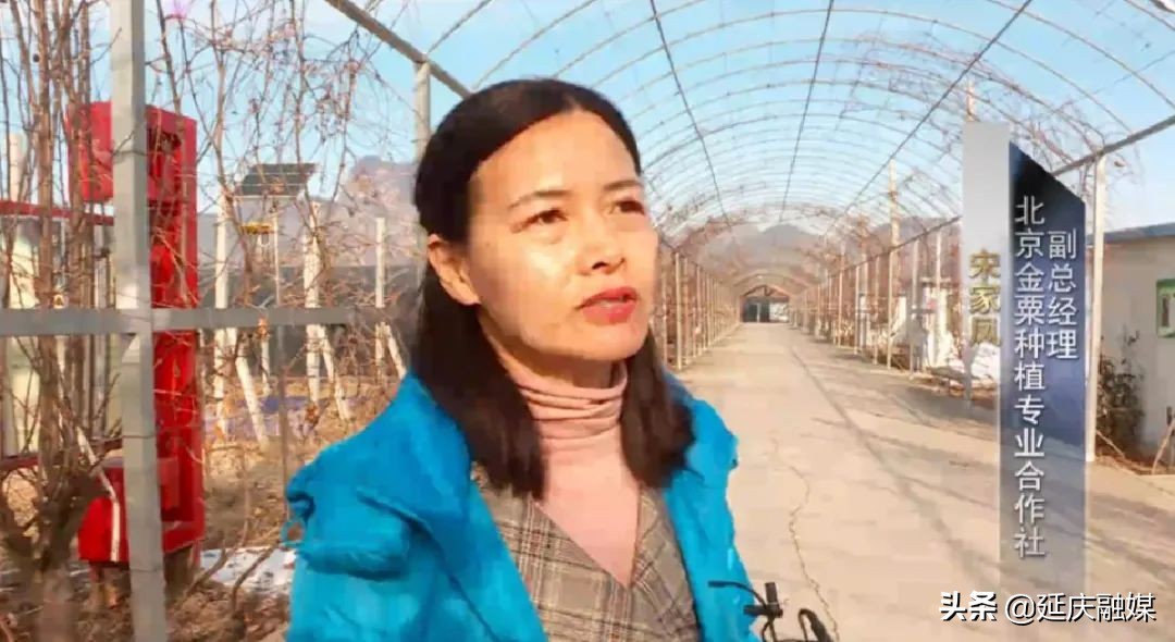 政协委员关于农业的提案,政协聚焦生态拿出更多提案建议