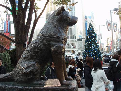 真实事件改编的无数感人催泪电影,一部根据真实故事改编的催泪电影