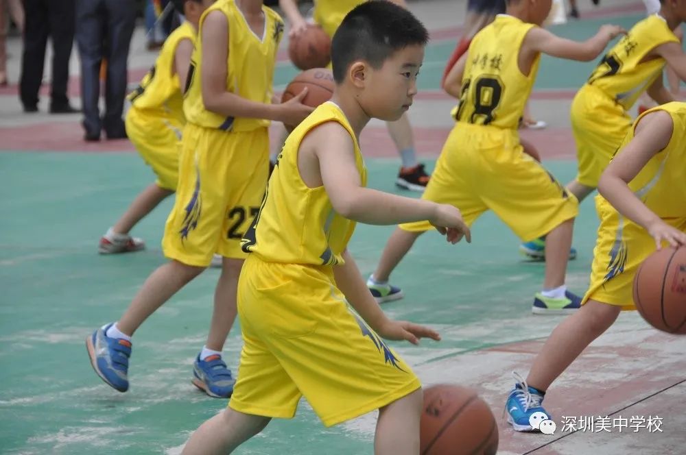 深圳美中学校2023招生官网,美中学校深圳招生简章