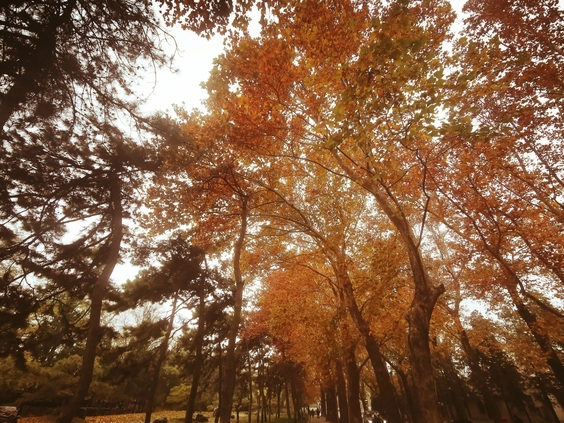 设计师个人简介和设计理念,中国著名设计师作品以及设计理念