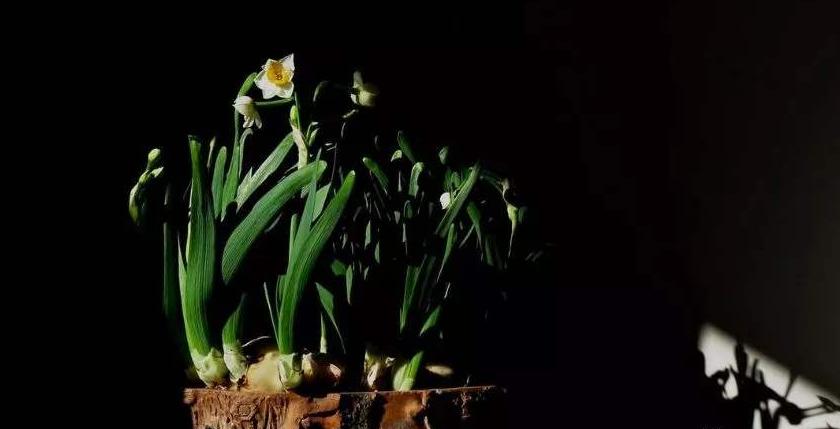 千古奇文4000字竟无重复,千古绝文450篇