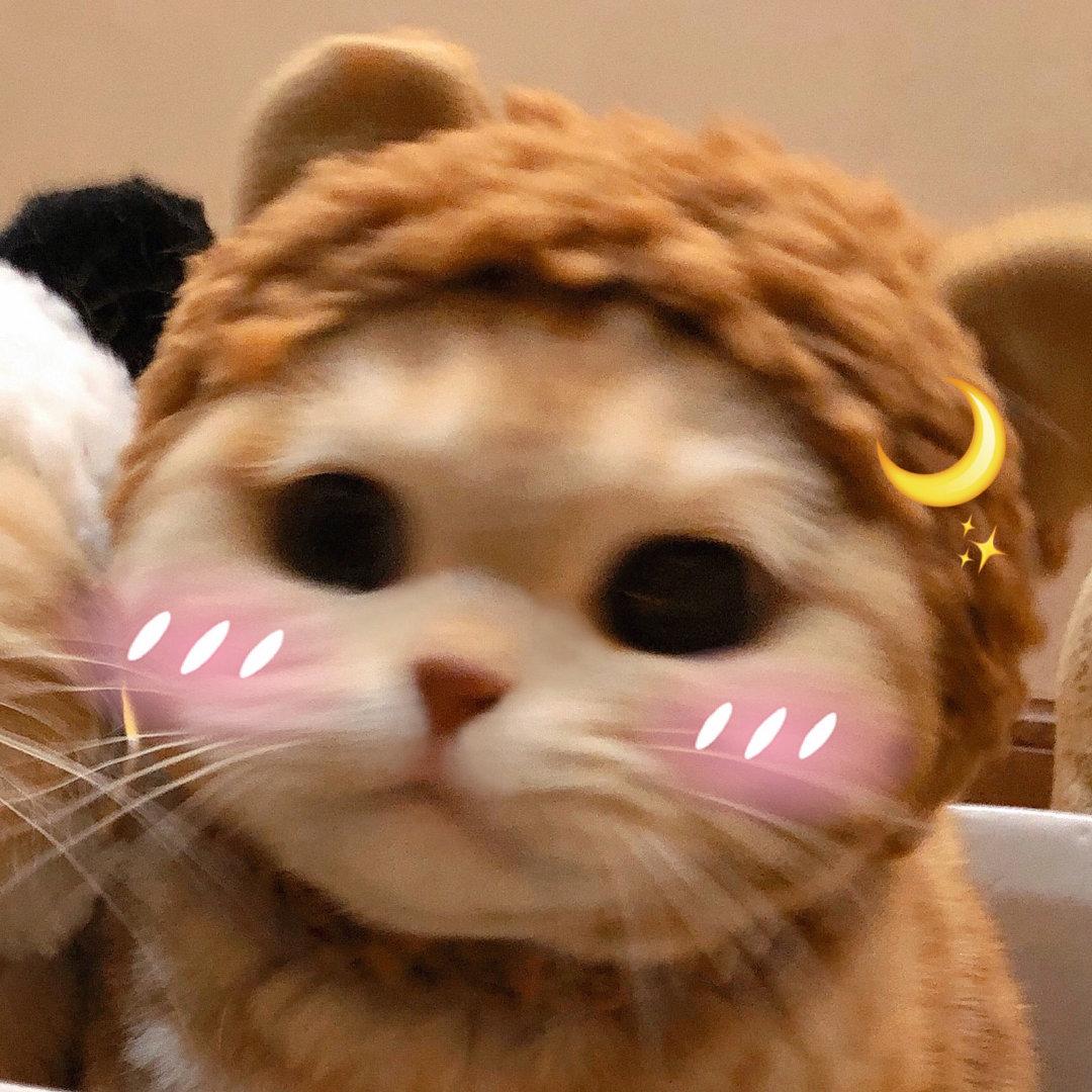 浪漫超甜情话短句100句,又甜又撩人的情话简短