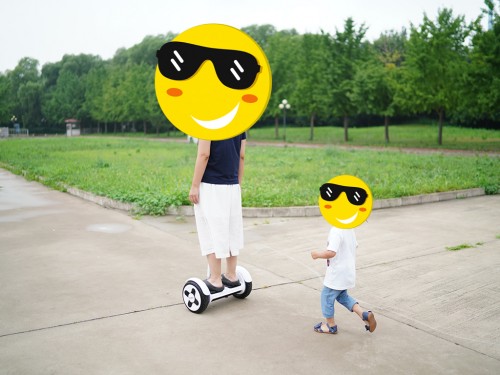 买菜遛狗车,买菜智能平衡车