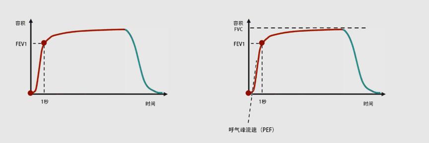 拿到报告后看不懂,拿到病理报告需要看什么