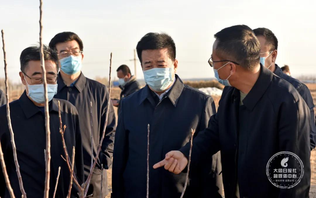 产业扶贫促进稳定脱贫,大力发展产业扶贫助力脱贫攻坚