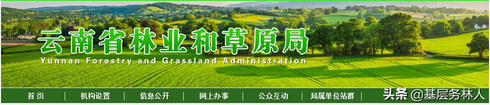 如何办理野生动物保护证,陆生野生动物人工繁育许可证办理