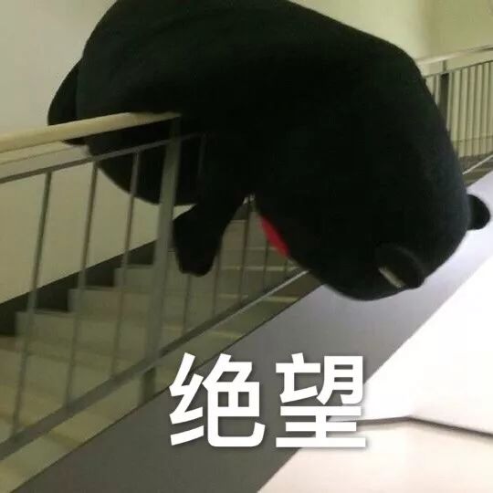 qq閭甯哥敤鍔熻兘,涓轰粈涔堝鐢熺敤鐨勯兘鏄痲q閭