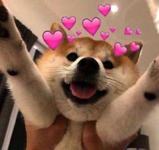 重仓股都涨了基金为啥还是跌,大盘都涨了基金还是绿的