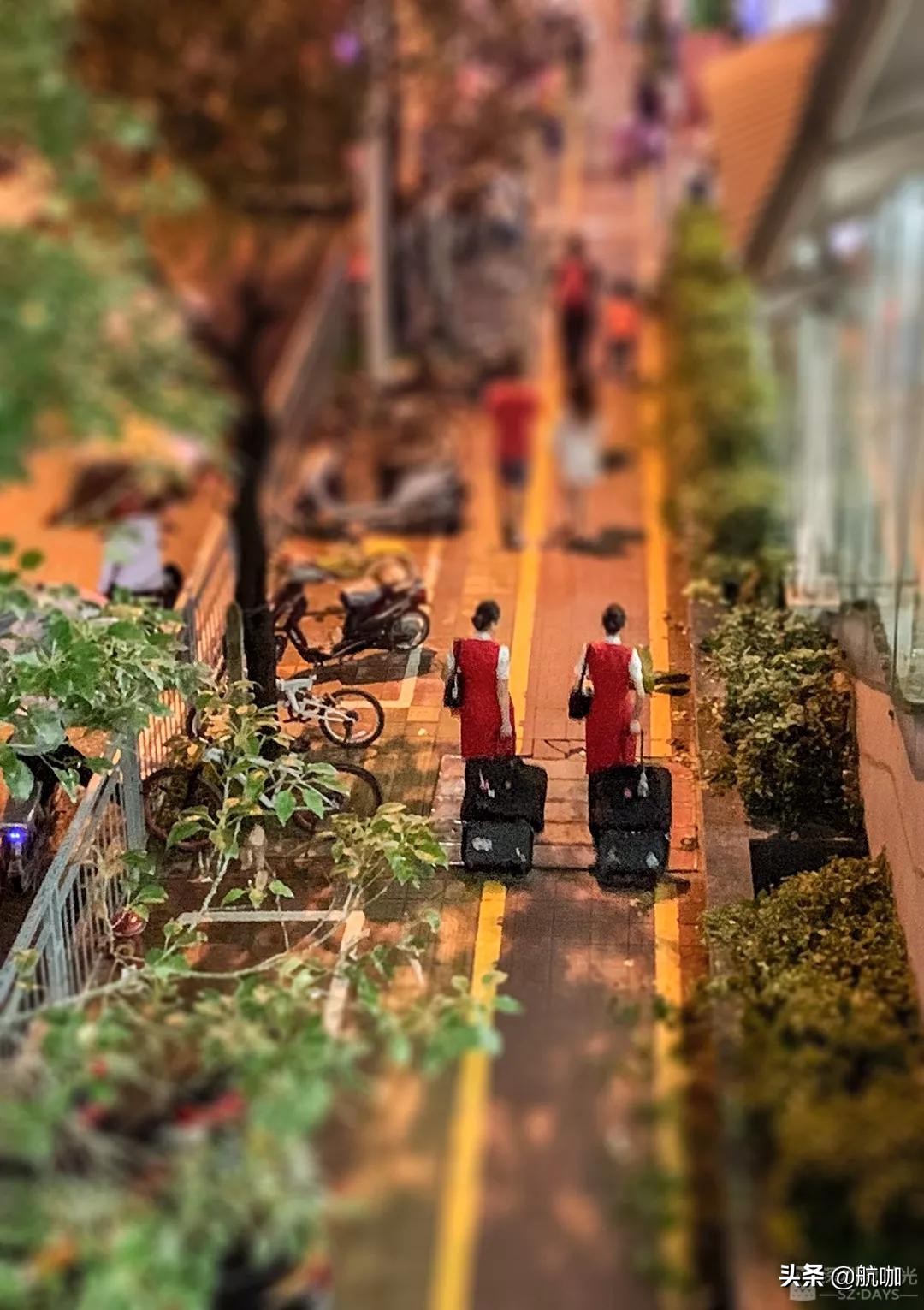 深圳南航空姐空少,空少空姐真实照片