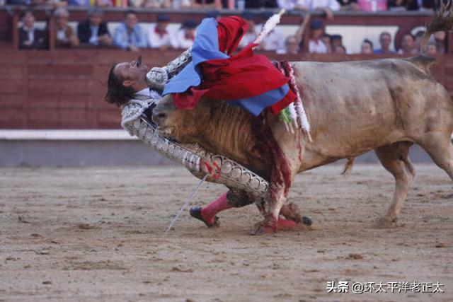 斗牛如果牛赢了还是要死,斗牛士为什么最后都杀死牛呢