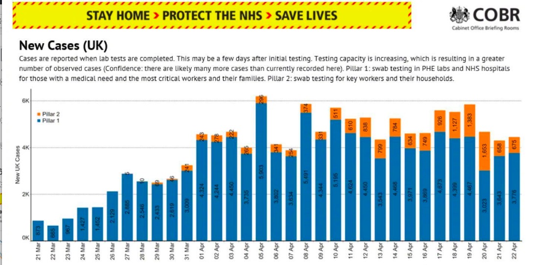 英国医疗队支援,英国抗疫工作组