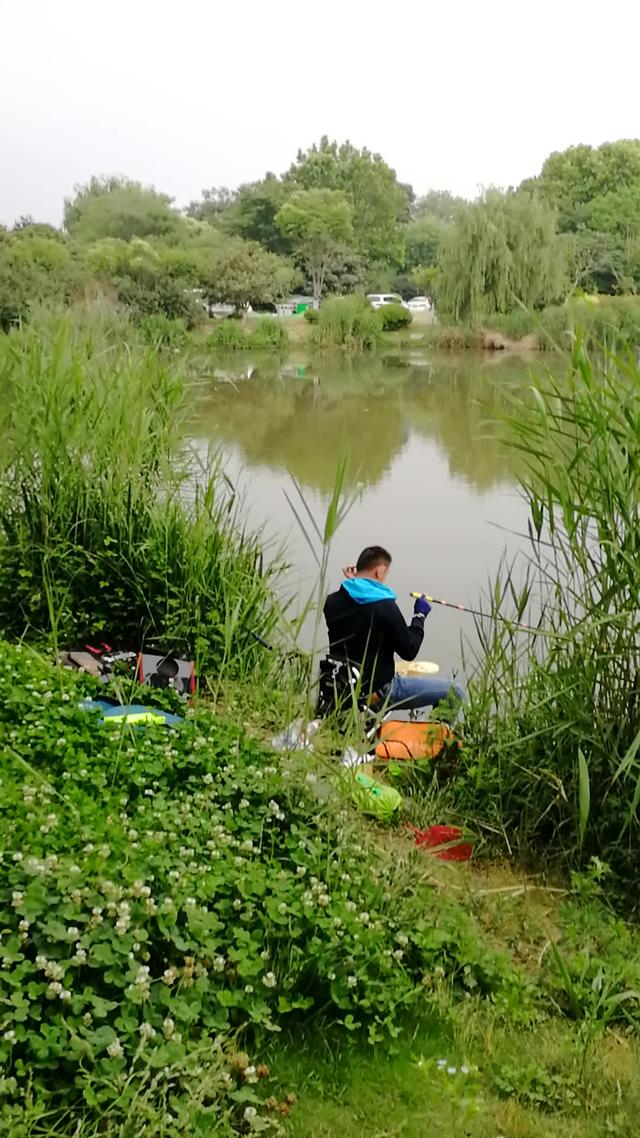 鱼不咬钩并不怕，只要记住这几条，变被动为主动