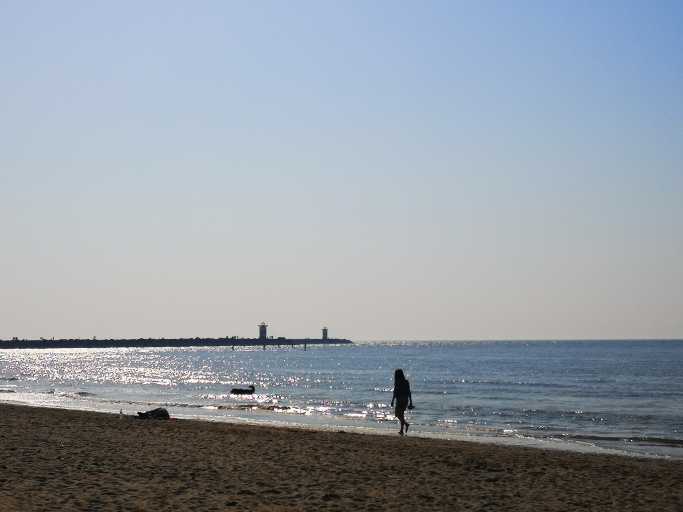 荷兰郁金香一日游攻略,荷兰郁金香旅游