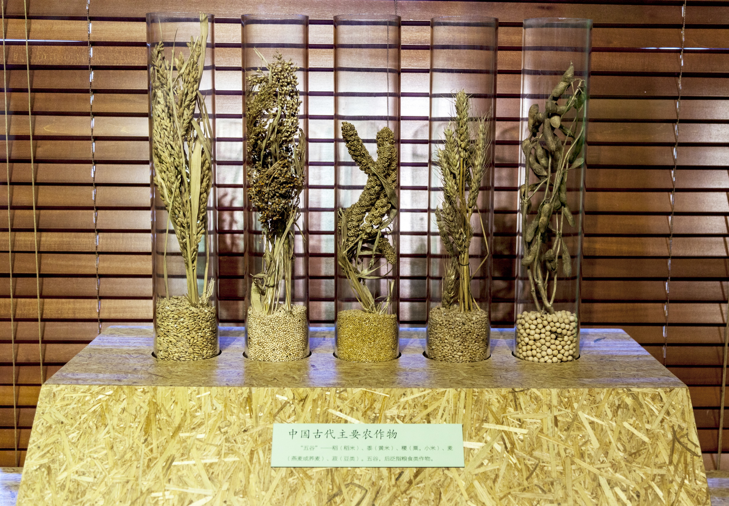 五坛八庙有先农坛吗,北京五坛先农坛