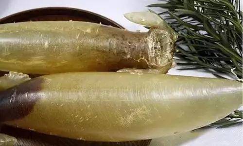 鱼胶知识大全视频,最全常识看完涨知识